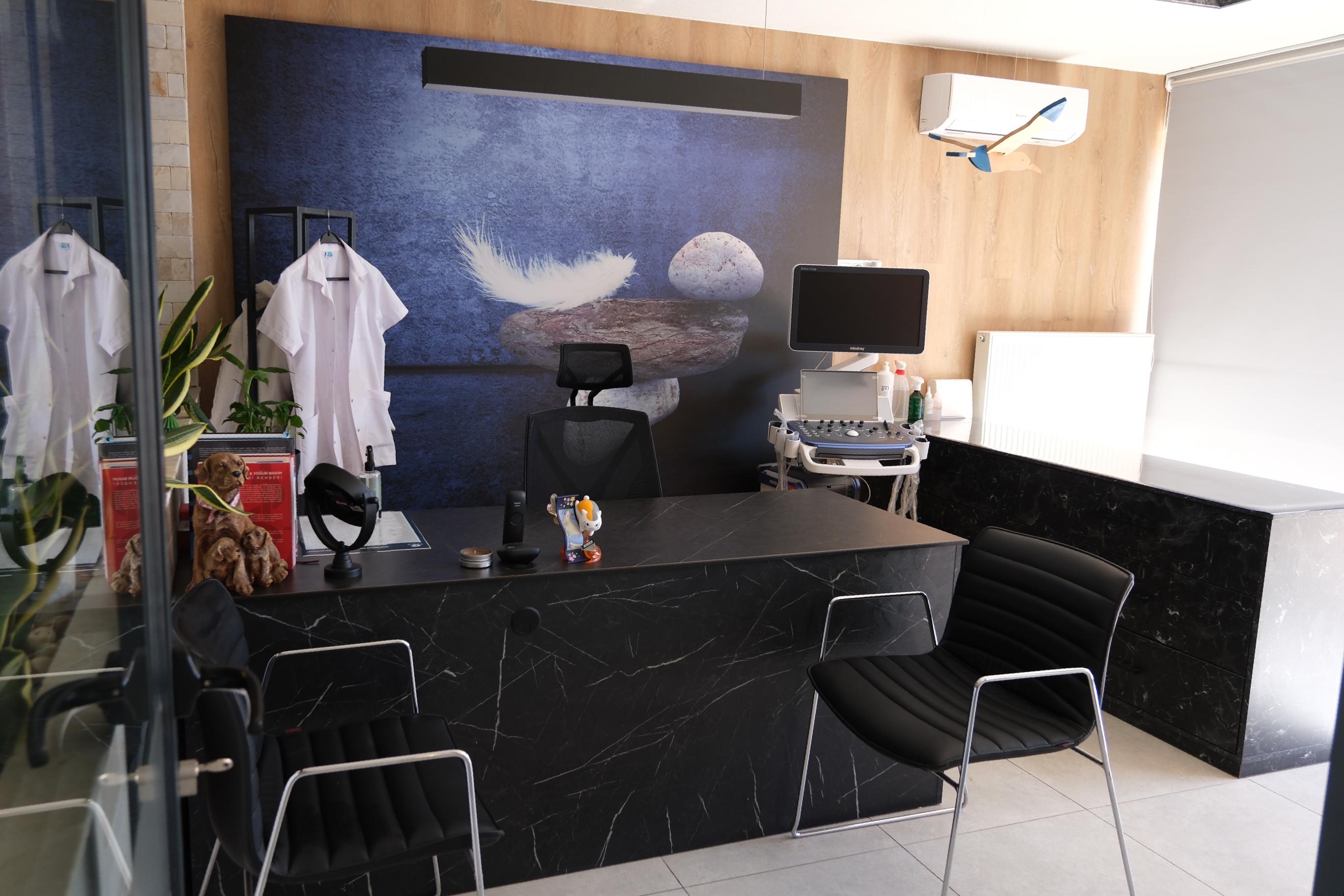 Veteriner Hekim Odası